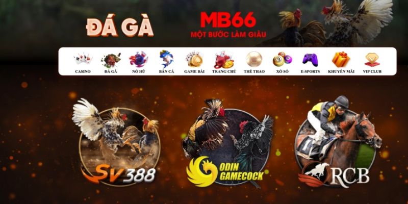 78win8 what is casino bonus wagering