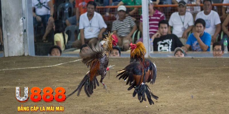 78win8 đăng nhập mậu binh khuyến mãi