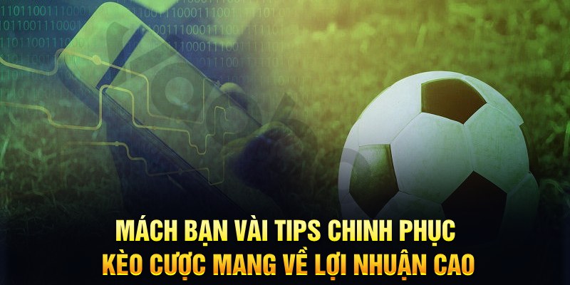 78win8 đăng nhập phỏm hàng đầu
