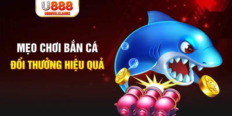 78win8 gà chọi cam ranh