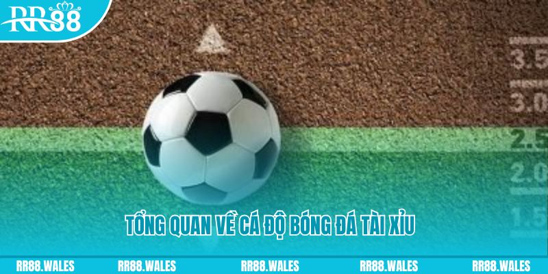 78win8 đăng nhập roulette online