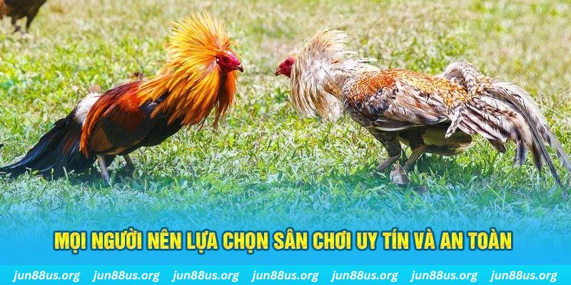 78win8 Cỡ bảy