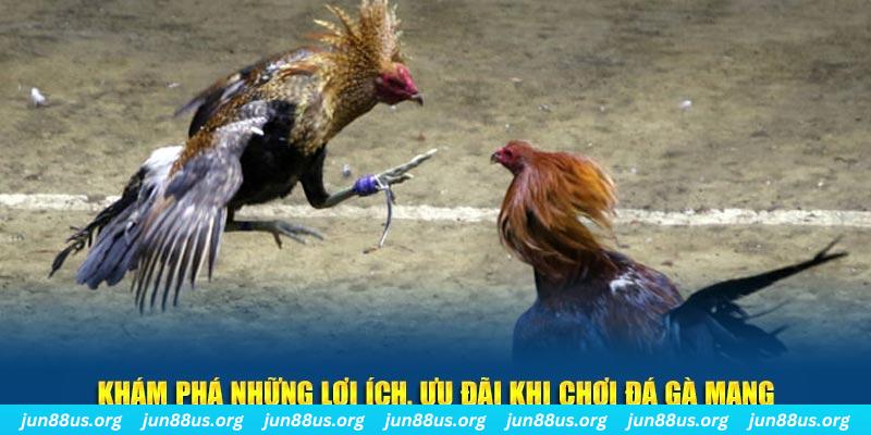 78win8 đăng nhập liêng live
