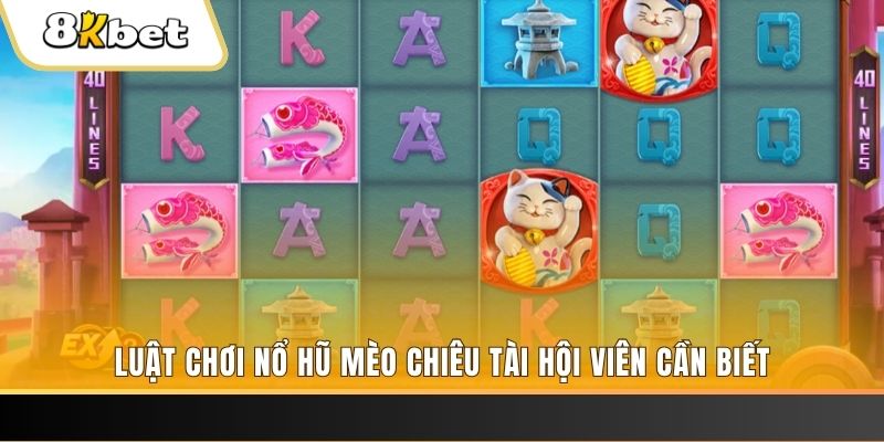 78win8 gà chọi cu cần
