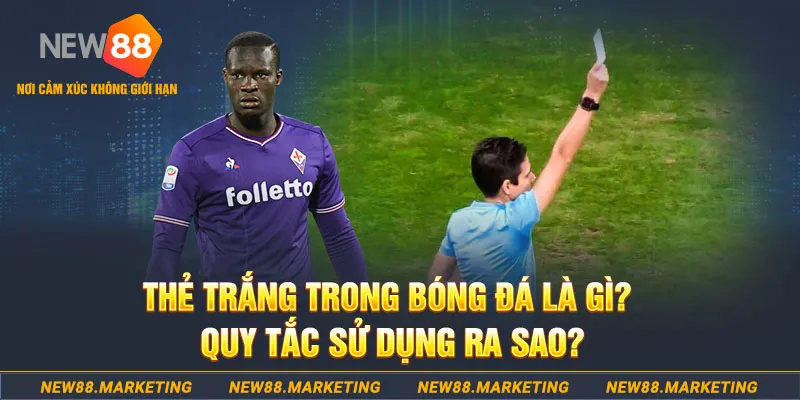 78win8 đăng nhập sòng bạc hôm nay