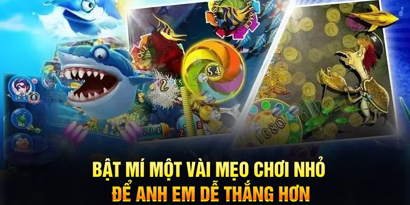 78win8 xổ số thứ ba