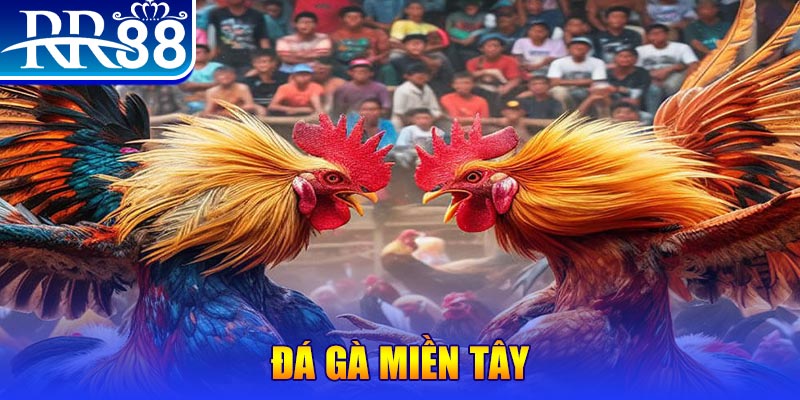 78win8 người chia bài trong casino gọi là gì