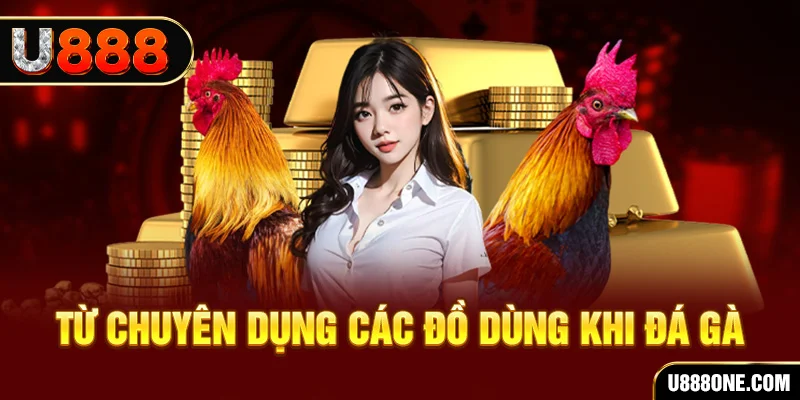 78win8 đá gà trực tiếp campuchia